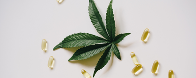 Common Misconceptions About CBD And Why They’re Wrong